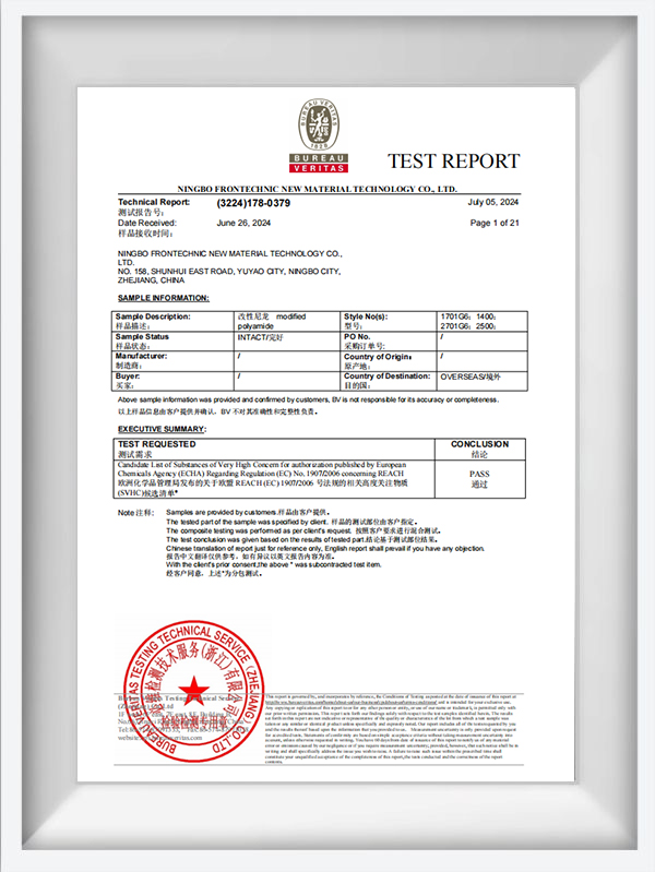 Báo cáo kiểm tra BV